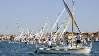 Murter, 021011.
U Murteru odrzana tradicionalna regata brodica ” Latinsko idro” gdje je sudjelovalo sedamdesetak posada.
Na slici: vezivanje za sajlu.
Foto: Jadran Babic / CROPIX Murter, 021011.
U Murteru odrzana tradicionalna regata brodica ” Latinsko idro” gdje je sudjelovalo sedamdesetak posada.
Na slici: vezivanje za sajlu.
Foto: Jadran Babic / CROPIX