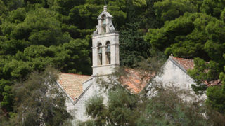 Image 1117673 (auto)