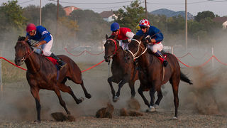 Polača: 14. Međunarodne konjičke utrke “Oluja 95”, Foto: Leo Banić Polača: 14. Međunarodne konjičke utrke “Oluja 95”, Foto: Leo Banić
