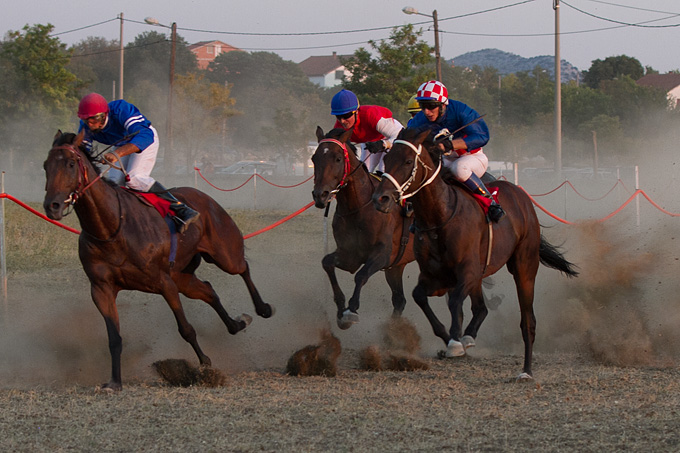 Polača: 14. Međunarodne konjičke utrke “Oluja 95”, Foto: Leo Banić Polača: 14. Međunarodne konjičke utrke “Oluja 95”, Foto: Leo Banić