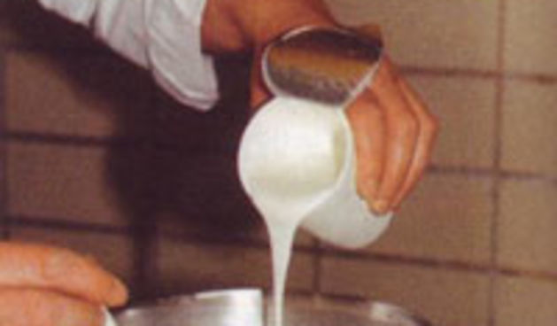 Jogurt (gospodarski-list.hr)