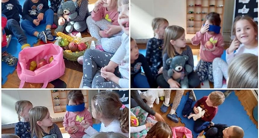 DV Biograd DV Biograd