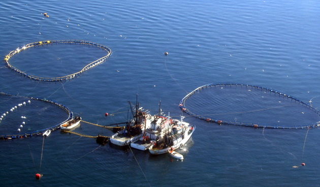 Farma Drvenik tune u suvlasni