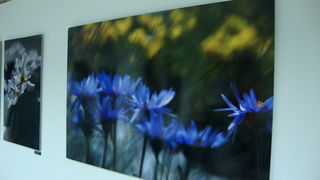 Otvorenje izlozbe Jerolima Vulica, foto: Mario Jerak