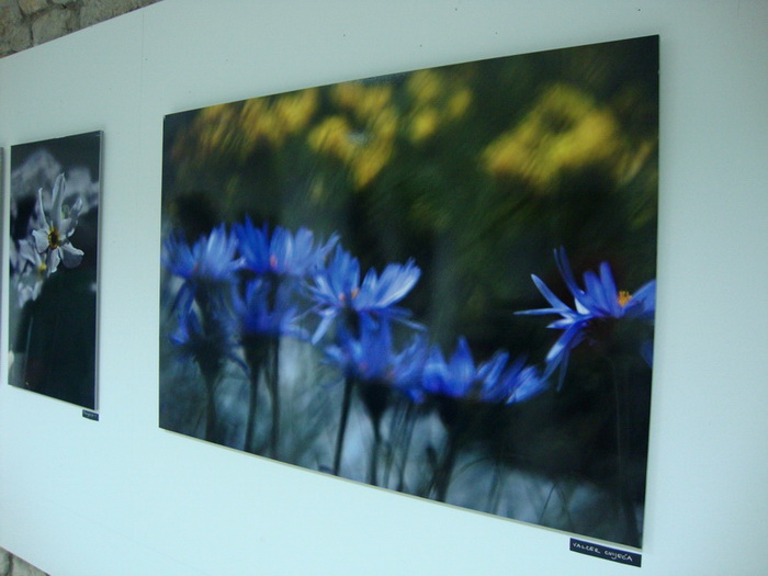 Otvorenje izlozbe Jerolima Vulica, foto: Mario Jerak