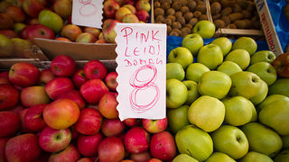 Đir po pijaci, 30. siječnja 2012. (foto:Saša Čuka)