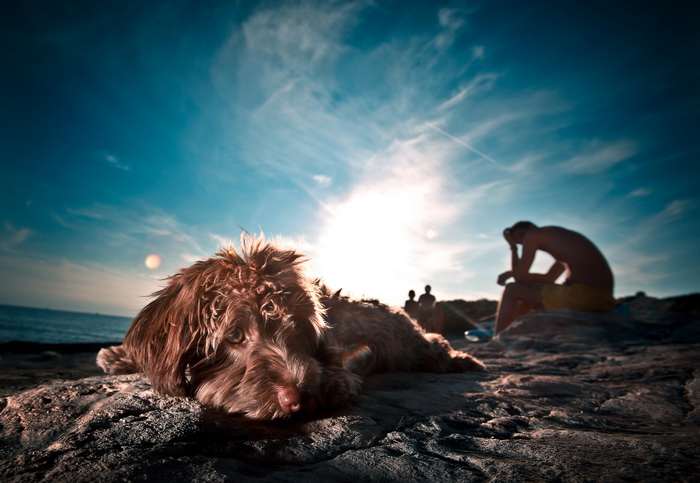 Vis 210812.
Otok Vis jedan je od najudaljenijih hrvatskih otoka koji broji nesto manje od 3 i pol tisuce stanovnika.No u vrijeme turisticke sezone otok postaje omiljena destinacija turistima od kojih je tradicionalno u kolovozu najvise Talijana.Vis ima bo