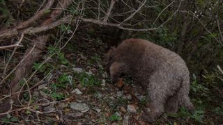 Tuna, sushi and wine festival: Ručak u Kraljevskim vinogradima Tuna, sushi and wine festival: Ručak u Kraljevskim vinogradima