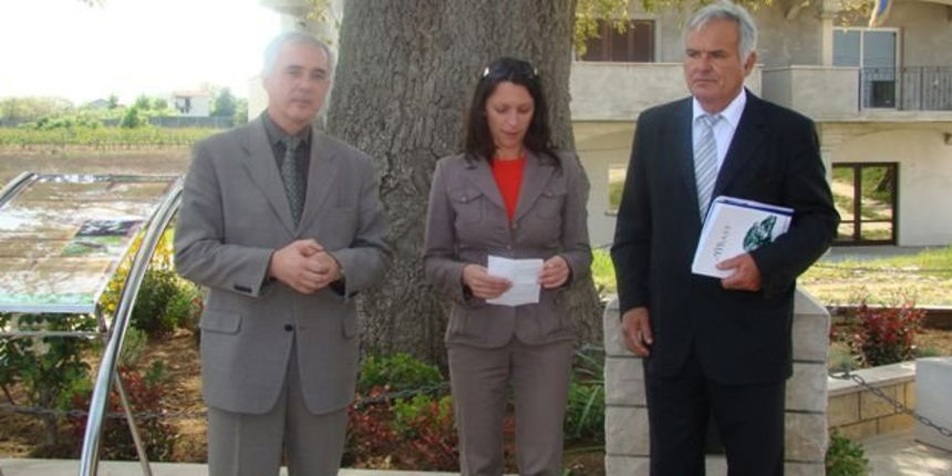 Zeleni hrast (foto: Zadarska županija) Zeleni hrast (foto: Zadarska županija)