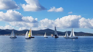 Zadarska Koka 2016. 22. listopada 2016. Foto: Mladen Malik Zadarska Koka 2016. 22. listopada 2016. Foto: Mladen Malik