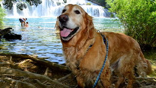 Đir do NP Krka. foto-Iva Perincic