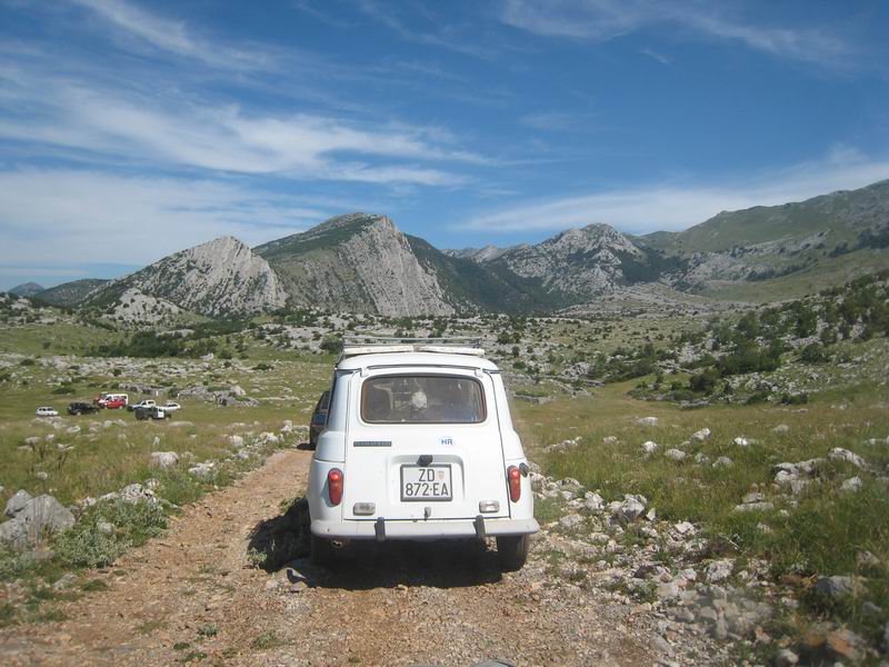 Image 1177343 (auto)