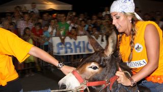 Tisno: 6. Međunarona “Trka tovarov”, Foto: Edin Kadić Tisno: 6. Međunarona “Trka tovarov”, Foto: Edin Kadić