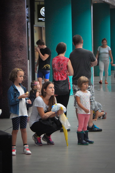 City Galleria: Predstavljanje Hrvačkog kluba Zadar City Galleria: Predstavljanje Hrvačkog kluba Zadar