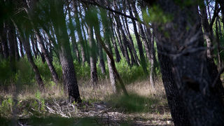 Ugodno prijepodne uz tok rijeke Karešnice i stare zapuštene mlinove, foto: Darko Belančić