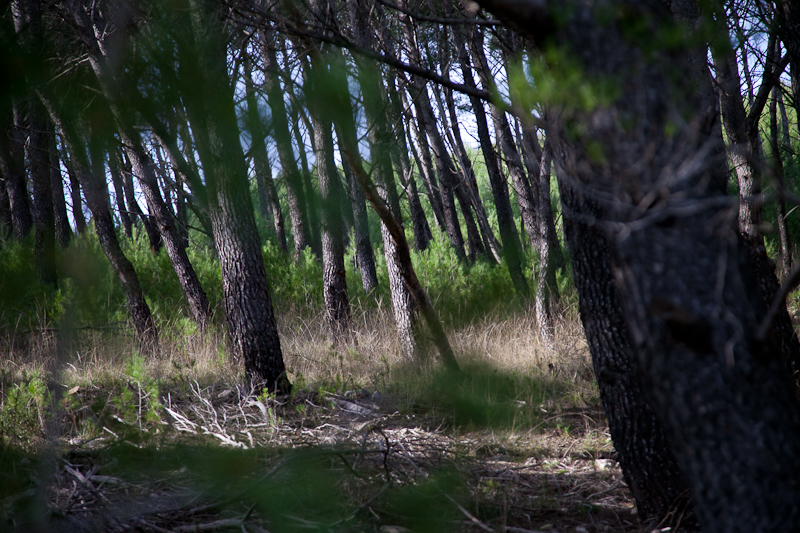 Ugodno prijepodne uz tok rijeke Karešnice i stare zapuštene mlinove, foto: Darko Belančić