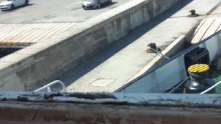 Kako izgleda putovanje na liniji Zadar(Gaženica)-Preko? Kako izgleda putovanje na liniji Zadar(Gaženica)-Preko?