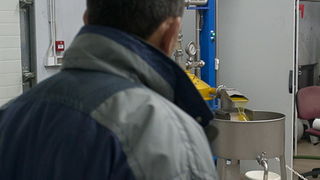 Put masline od stabla do djevicanskog ulja, Foto: Leo Banic Put masline od stabla do djevicanskog ulja, Foto: Leo Banic