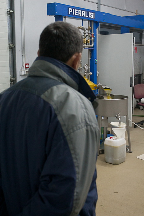 Put masline od stabla do djevicanskog ulja, Foto: Leo Banic Put masline od stabla do djevicanskog ulja, Foto: Leo Banic