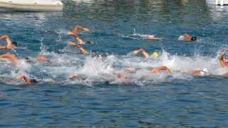 Održan 43. Plivački maraton Preko-Zadar Održan 43. Plivački maraton Preko-Zadar