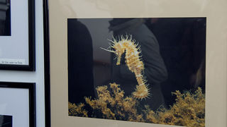 Otvorenje izložbe “Zagrljaj dubine” u Gradskoj loži, Foto: Leo Banić Otvorenje izložbe “Zagrljaj dubine” u Gradskoj loži, Foto: Leo Banić