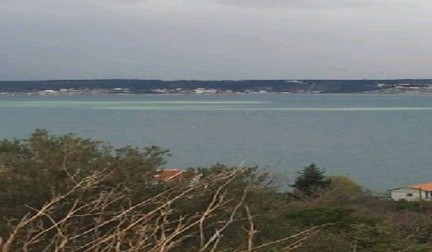 Misteriozna bijela mrlja u Novigradskom moru, foto: Radio Zadar