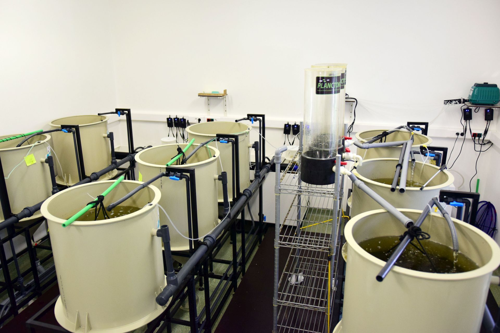 Strani studenti na združenom studiju Biotehnologija mora Strani studenti na združenom studiju Biotehnologija mora