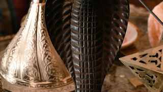 Brođanin Stanislav Hudi živi u kući koju je uredio u egipatskom stilu Brođanin Stanislav Hudi živi u kući koju je uredio u egipatskom stilu