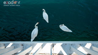 Đir po gradu, subotnja špica 9. ožujka 2019. Đir po gradu, subotnja špica 9. ožujka 2019.