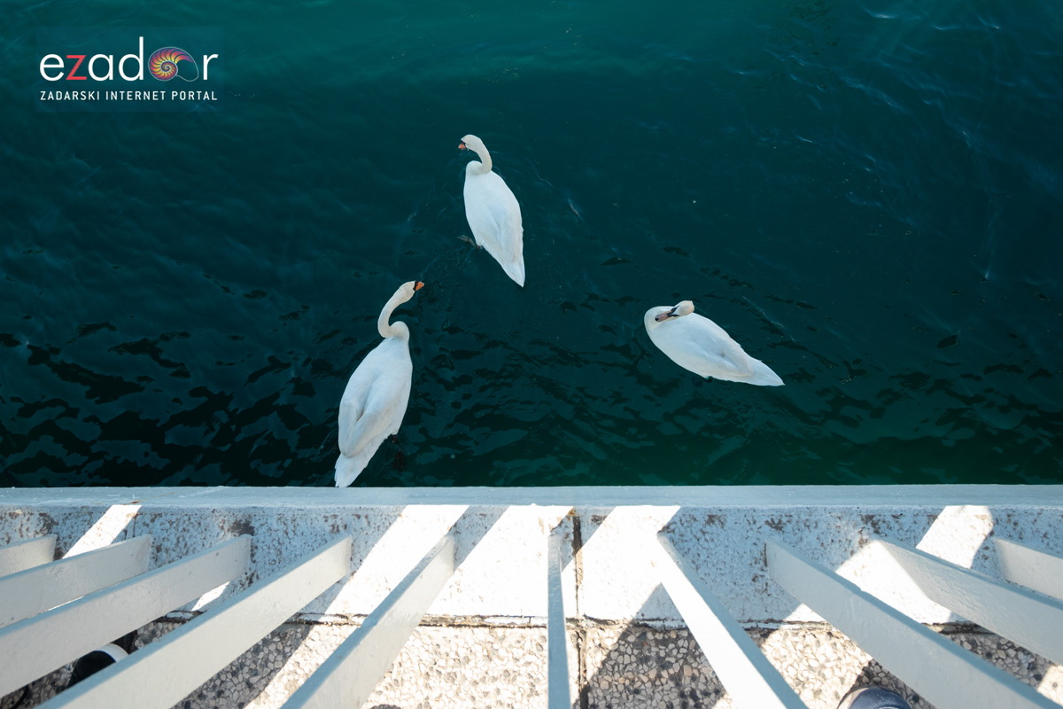 Đir po gradu, subotnja špica 9. ožujka 2019. Đir po gradu, subotnja špica 9. ožujka 2019.