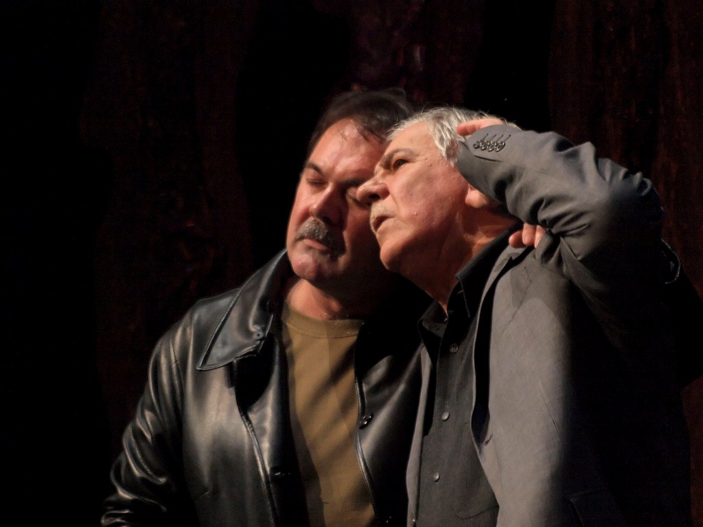 Predstava Hamleta u selu Mrduša Donja