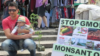 Prosvjed protiv Monstanta u Zadru