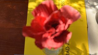 Gastro smokva: Degustacija u restoranu Pet bunara, foto:Iva Perinčić Gastro smokva: Degustacija u restoranu Pet bunara, foto:Iva Perinčić