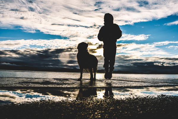Večernji đir po Sabunikama i Kolovarama. Foto: Iva Perinčić
