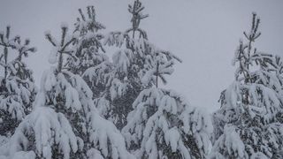 U Lici pada gusti snijeg, zimski uvjeti na cestama U Lici pada gusti snijeg, zimski uvjeti na cestama