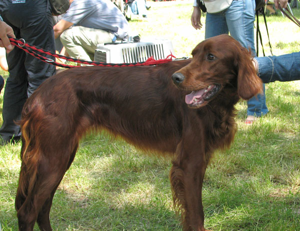 Image 1171091 (auto)