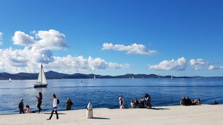 Zadarska Koka 2016. 22. listopada 2016. Foto: Mladen Malik Zadarska Koka 2016. 22. listopada 2016. Foto: Mladen Malik