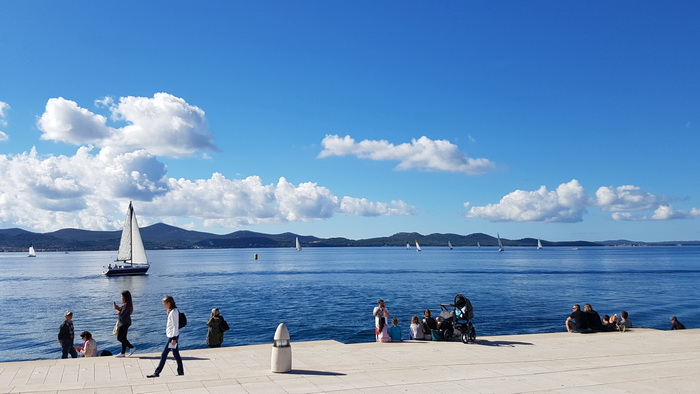 Zadarska Koka 2016. 22. listopada 2016. Foto: Mladen Malik Zadarska Koka 2016. 22. listopada 2016. Foto: Mladen Malik