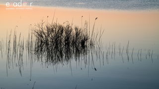 Nedjeljno svitanje na Vranskom jezeru Nedjeljno svitanje na Vranskom jezeru