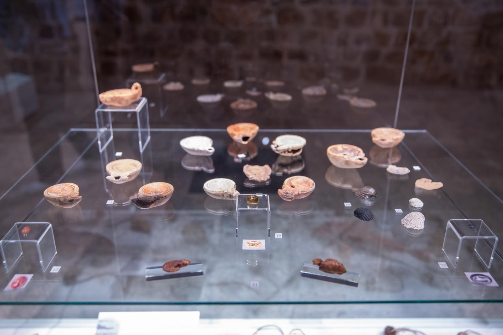 Dubrovnik: Zadrani gostuju s izložbom “Čovjek i more: Ribolov u antici”