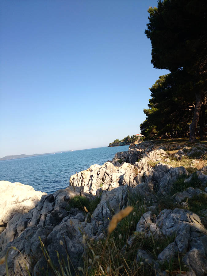 Jutarnji đir Puta Bajlom, foto: Iva Perinčić