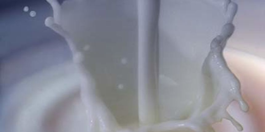 Mlijeko, foto: HTV Mlijeko, foto: HTV