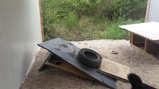 Nevera učinila veliku štetu i zadarskom azilu Nevera učinila veliku štetu i zadarskom azilu