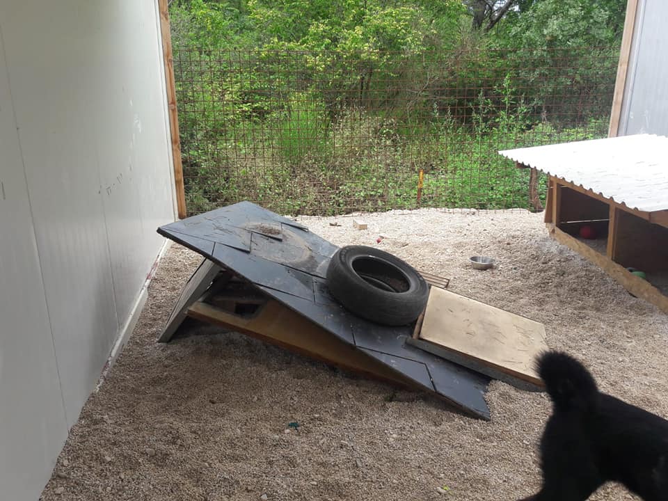 Nevera učinila veliku štetu i zadarskom azilu Nevera učinila veliku štetu i zadarskom azilu