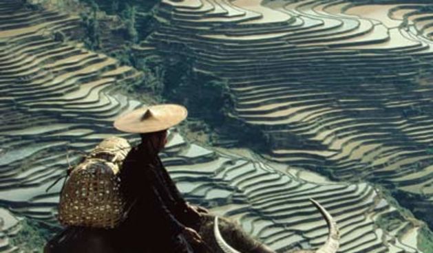 Kina poljoprivrednik