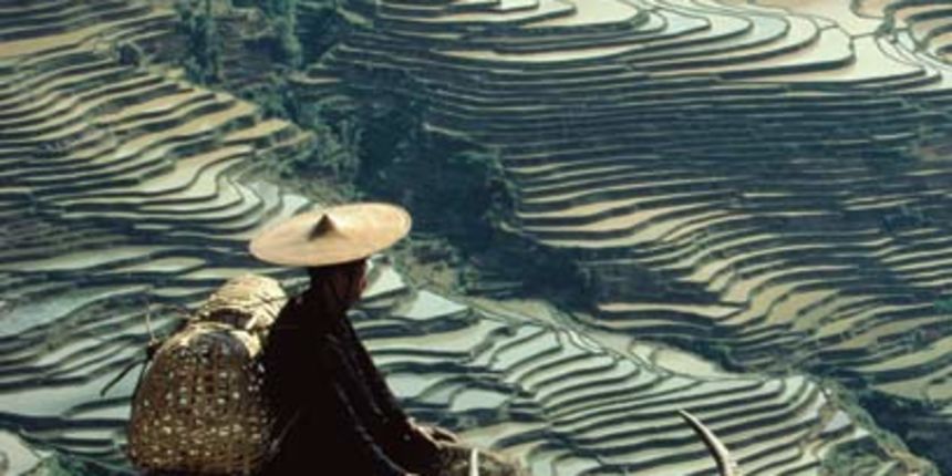 Kina poljoprivrednik Kina poljoprivrednik