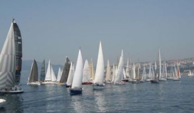 Image 1206569 (auto)