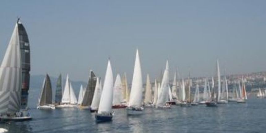 Image 1206569 (auto) Image 1206569 (auto)