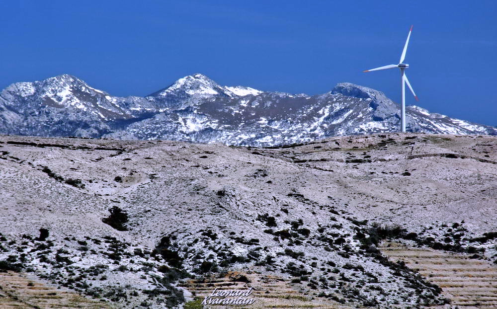 Đir po otoku Pagu – Pag, Foto: Leonard Kvarantan