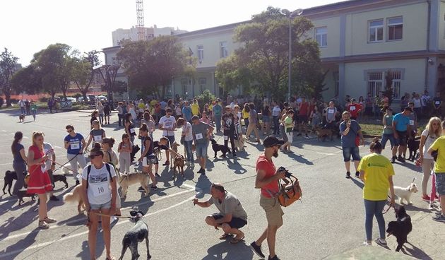 Revija udomljenih pasa